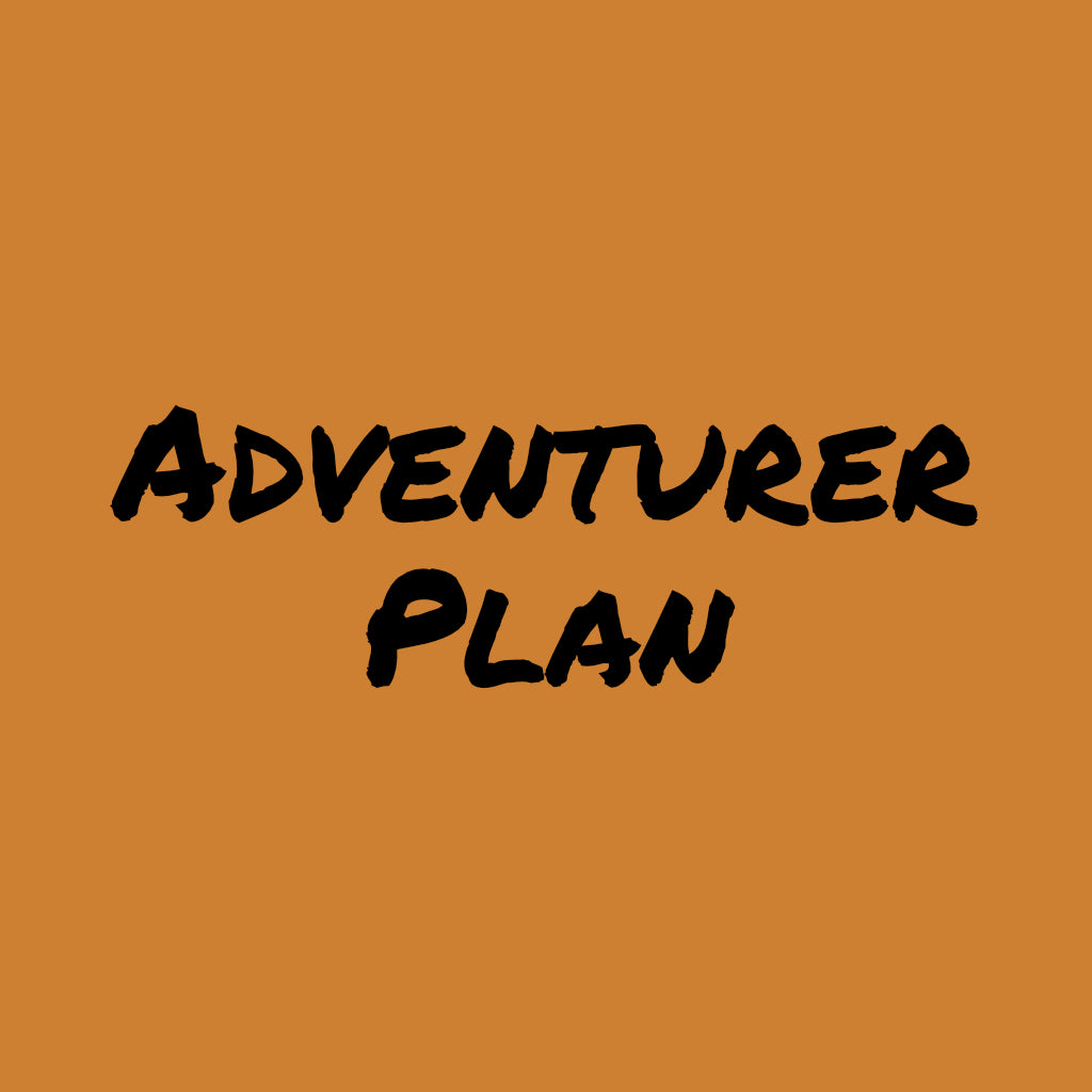 Online Coaching Adventurer Plan